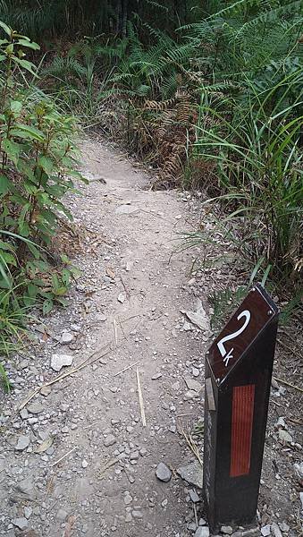 白毛山+唐麻丹山