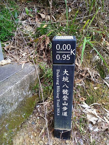 大坑1~10號步道一日遊