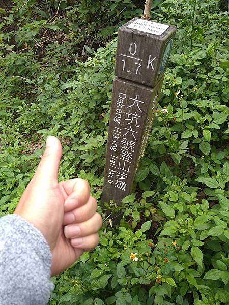 大坑1~10號步道一日遊