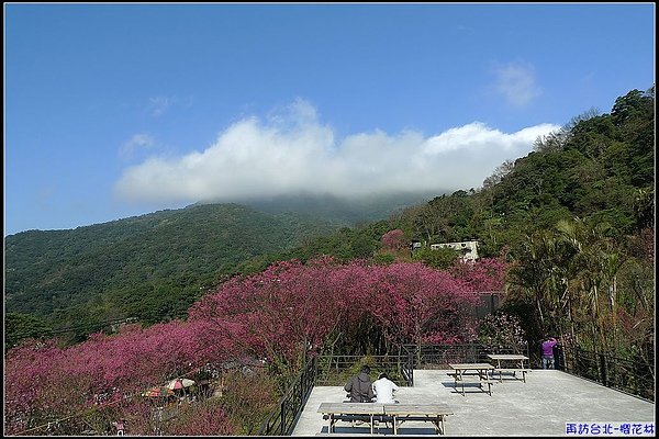 在這裡吃早餐。是種享受.jpg