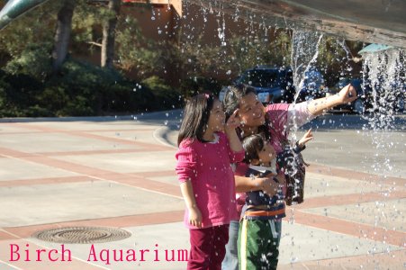 Birch Aquarium 076.JPG