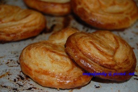 palmier 014.jpg