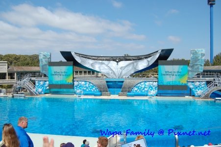 Sea World 005.jpg