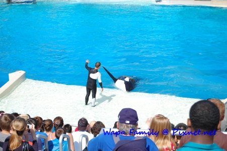 Sea World 016.jpg