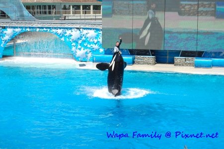 Sea World 018.jpg