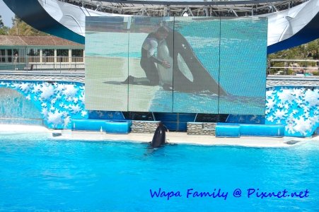 Sea World 019.jpg