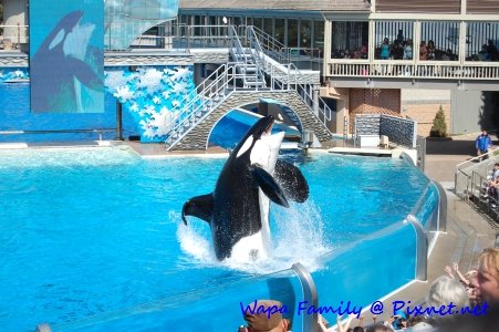 Sea World 021.jpg