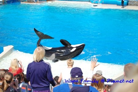 Sea World 022.jpg