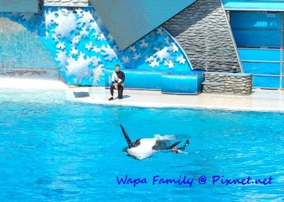 Sea World 032.jpg