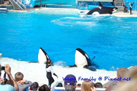 Sea World 038.jpg