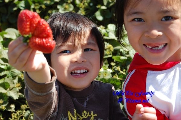 Stawberry &amp; Solana Beach City Beach 006.jpg