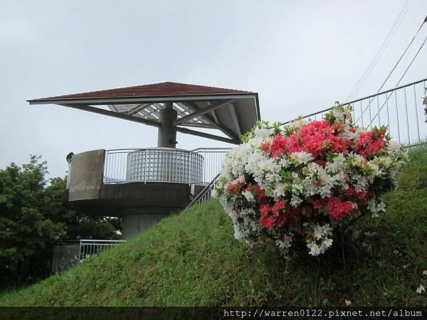 IMG_9346.JPG