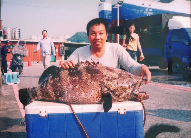 基隆碧砂漁港海釣船鎖管季夜釣小管