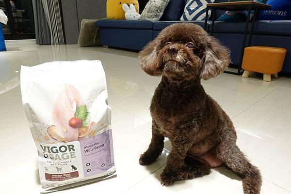 [心得] Vigor &amp; Sage靈萃寵物飼料.來自荷蘭的天
