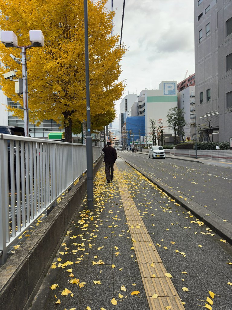 [日本.仙台] 松島魚市場(松島さかな市場).大推烤牡蠣吃到