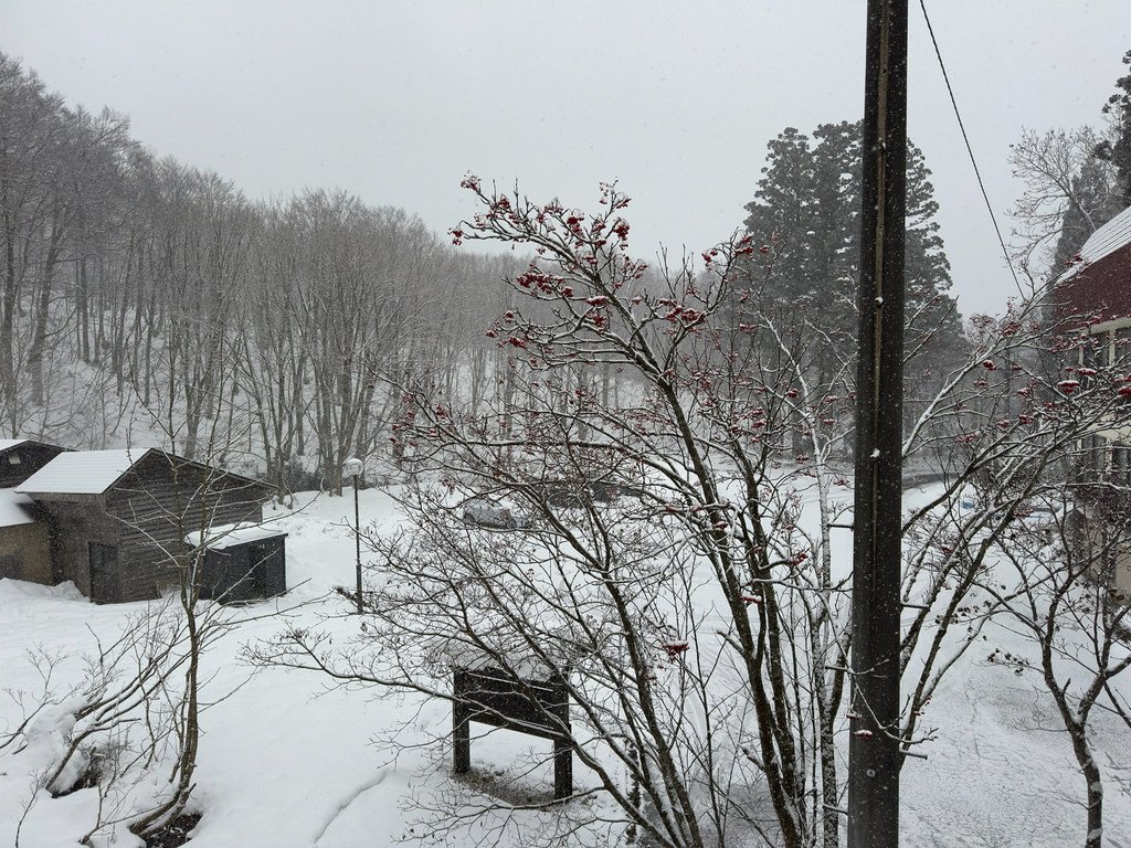 [日本.秋田] 蟹場溫泉(Ganiba Onsen).被原始