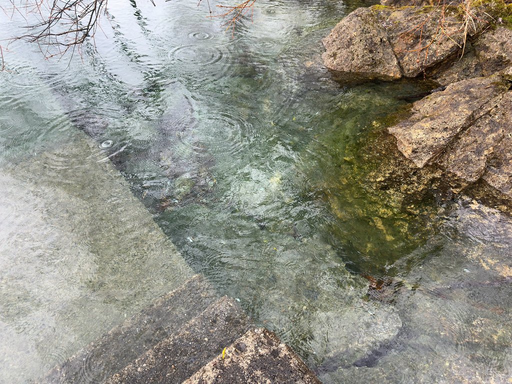 [日本.秋田] 田澤湖.散發琉璃靛藍色的日本第一深湖泊
