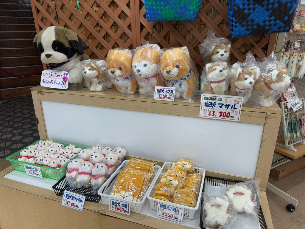 [日本.秋田] 田澤湖.散發琉璃靛藍色的日本第一深湖泊
