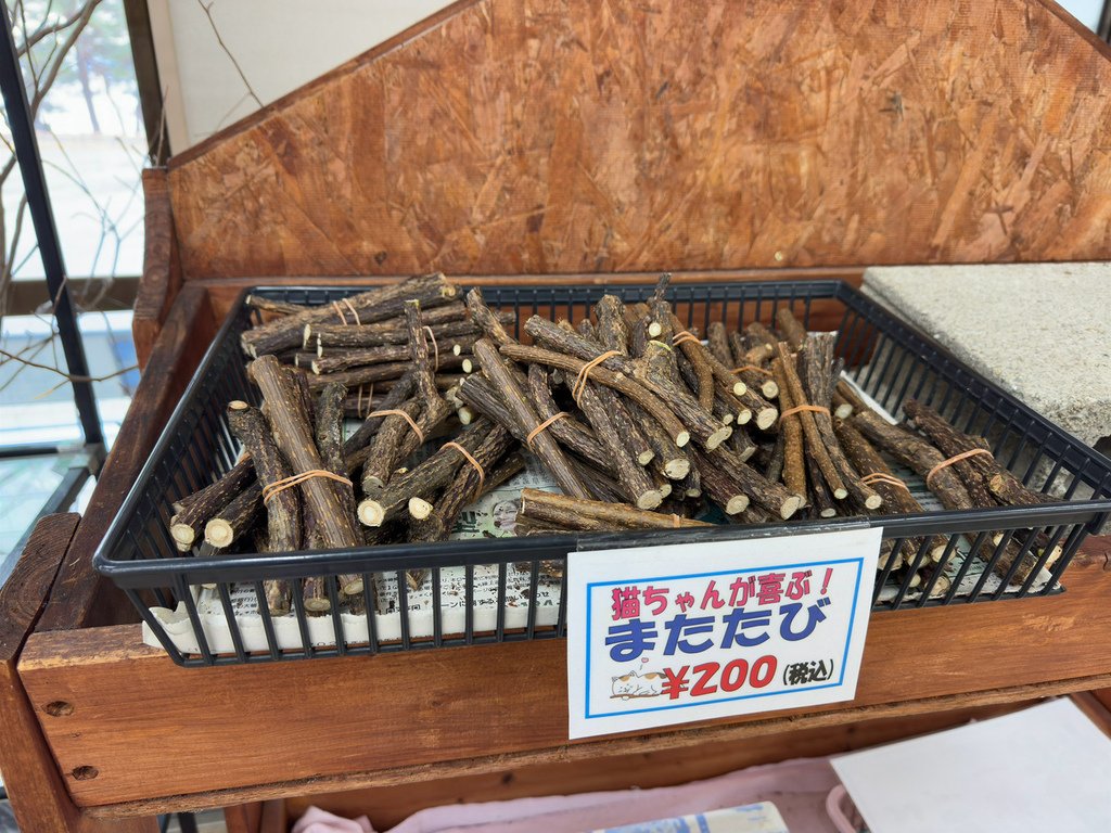 [日本.秋田] 田澤湖.散發琉璃靛藍色的日本第一深湖泊