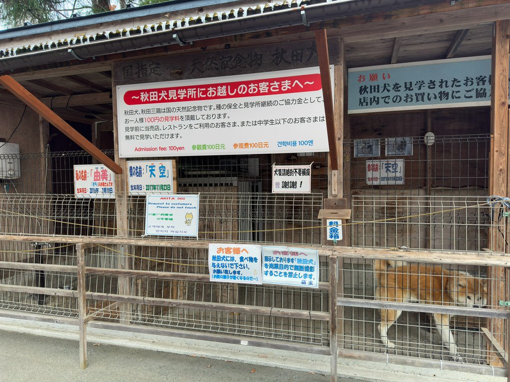 [日本.秋田] 田澤湖.散發琉璃靛藍色的日本第一深湖泊