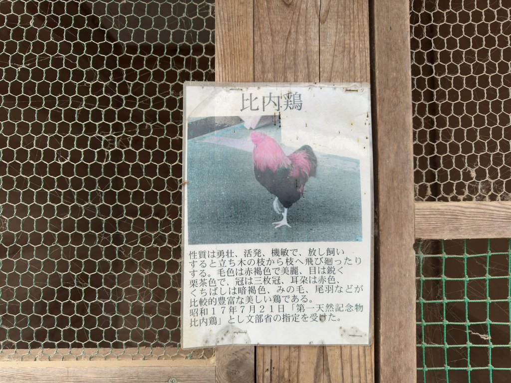 [日本.秋田] 田澤湖.散發琉璃靛藍色的日本第一深湖泊