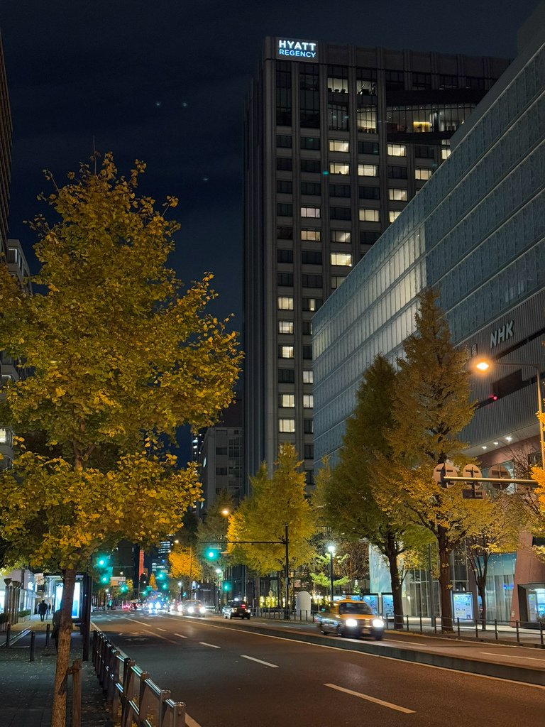 [日本.橫濱] 橫濱元町商店街(Yokohama Motom