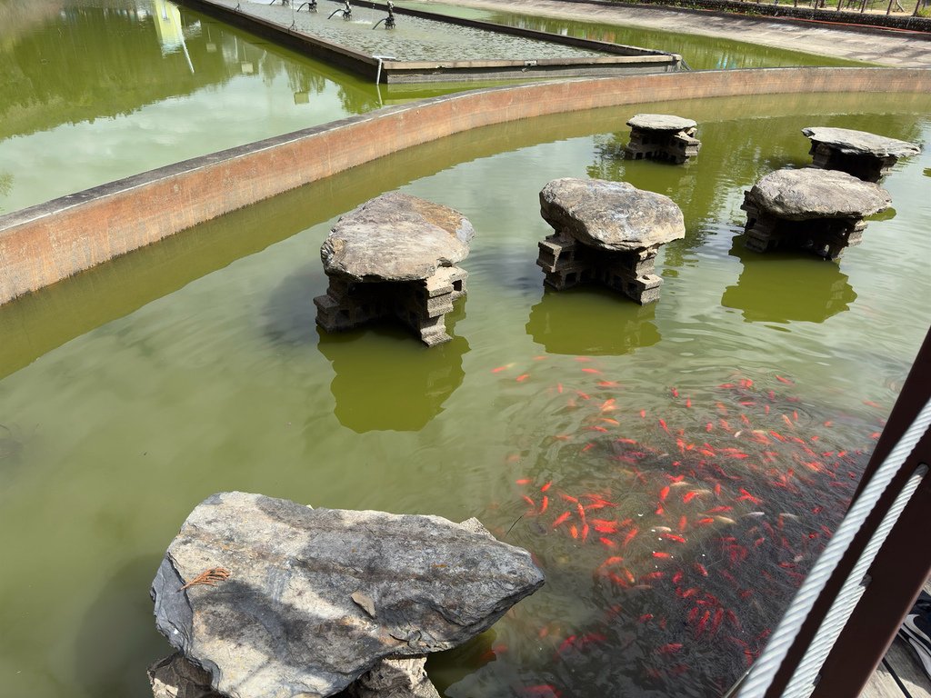 [南投.仁愛] 清境農場小瑞士花園