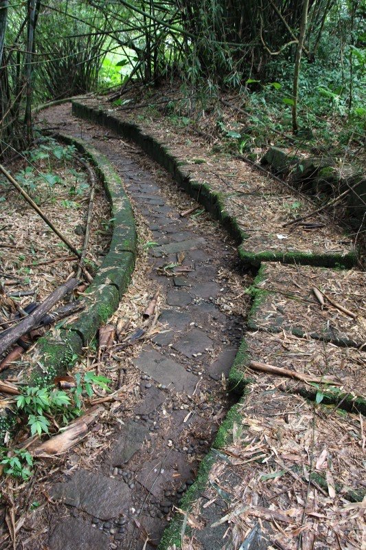 內城環山水圳步道11.jpg