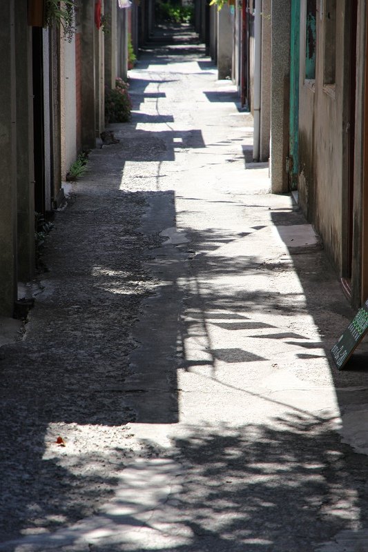 IMG_8593.jpg
