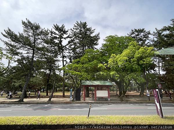 大阪自由行-Day4 清水寺 &amp; 伏見稻荷大社 &amp; 奈良公園