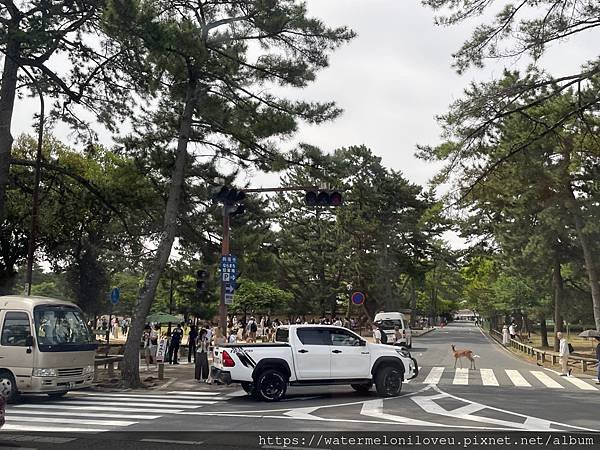 大阪自由行-Day4 清水寺 &amp; 伏見稻荷大社 &amp; 奈良公園