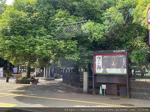 大阪自由行-Day4 清水寺 &amp; 伏見稻荷大社 &amp; 奈良公園