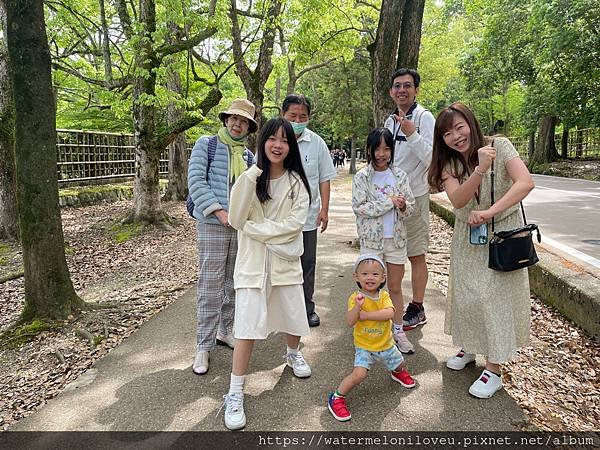 大阪自由行-Day4 清水寺 &amp; 伏見稻荷大社 &amp; 奈良公園