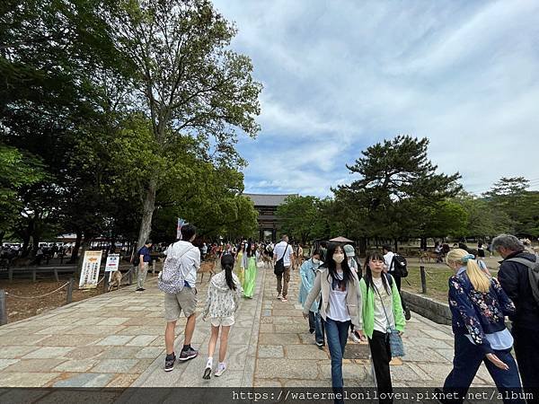 大阪自由行-Day4 清水寺 &amp; 伏見稻荷大社 &amp; 奈良公園