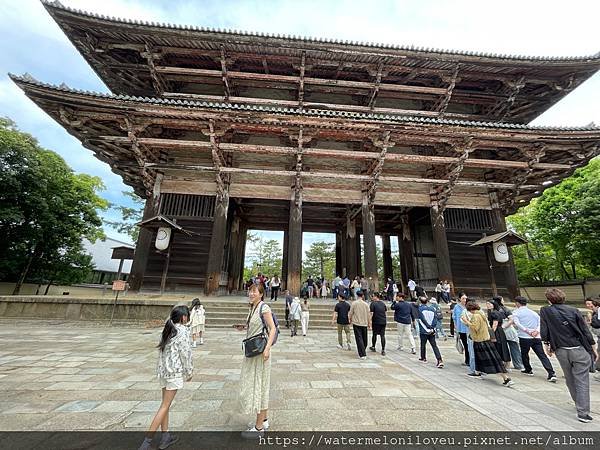 大阪自由行-Day4 清水寺 &amp; 伏見稻荷大社 &amp; 奈良公園