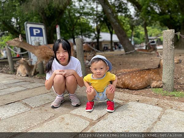 大阪自由行-Day4 清水寺 &amp; 伏見稻荷大社 &amp; 奈良公園