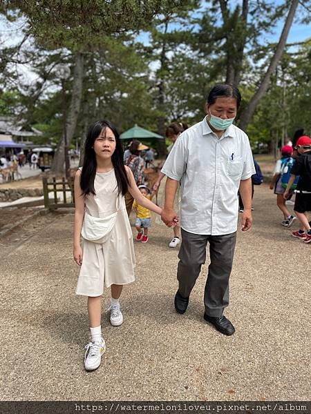 大阪自由行-Day4 清水寺 &amp; 伏見稻荷大社 &amp; 奈良公園