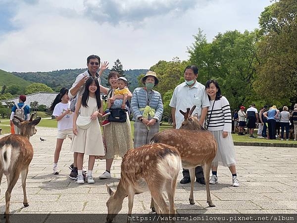 大阪自由行-Day4 清水寺 &amp; 伏見稻荷大社 &amp; 奈良公園