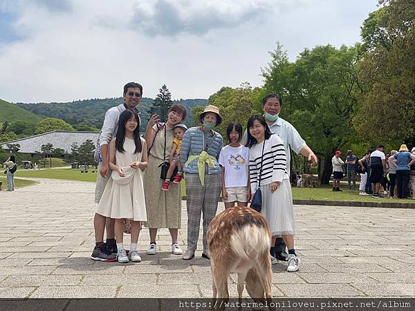 大阪自由行-Day4 清水寺 &amp; 伏見稻荷大社 &amp; 奈良公園