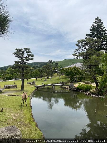 大阪自由行-Day4 清水寺 &amp; 伏見稻荷大社 &amp; 奈良公園