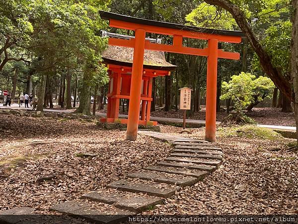 大阪自由行-Day4 清水寺 &amp; 伏見稻荷大社 &amp; 奈良公園