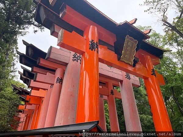 大阪自由行-Day4 清水寺 &amp; 伏見稻荷大社 &amp; 奈良公園