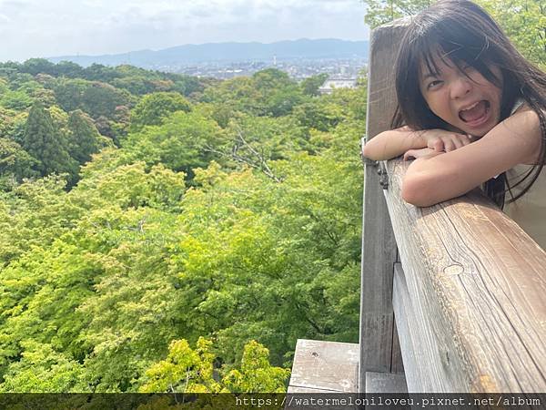 大阪自由行-Day4 清水寺 &amp; 伏見稻荷大社 &amp; 奈良公園