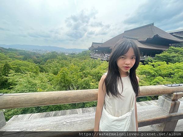 大阪自由行-Day4 清水寺 &amp; 伏見稻荷大社 &amp; 奈良公園