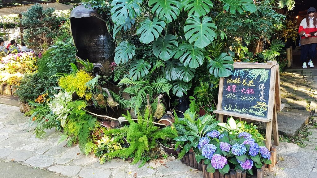 花露休閒農場_雨林部落餐廳_水月問路2.jpg