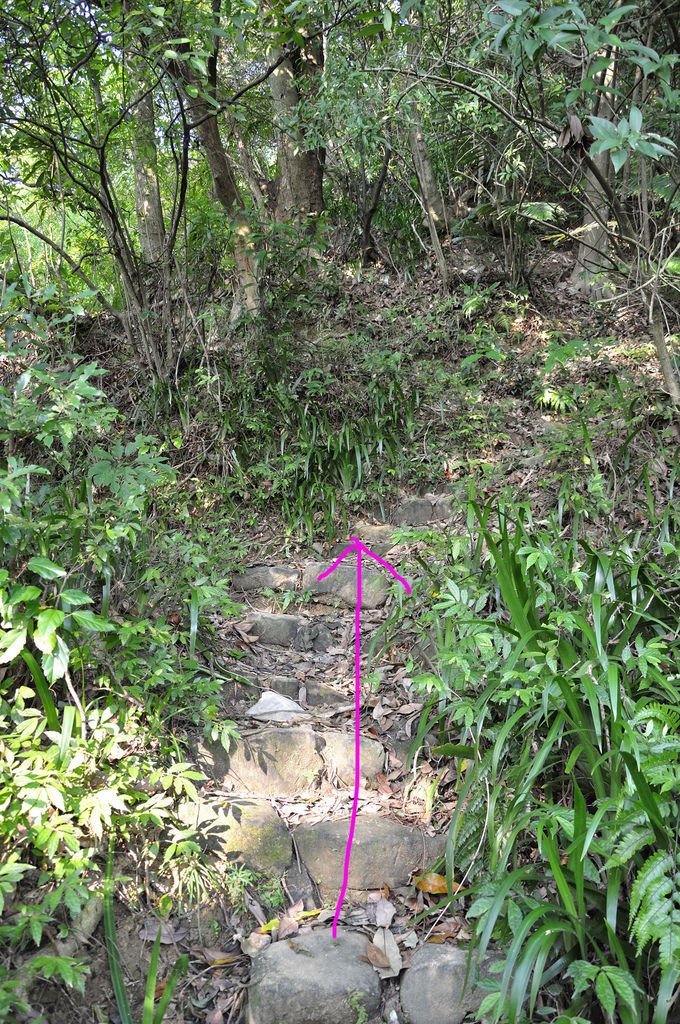 20150716豹山溪攀岩步道_34.jpg