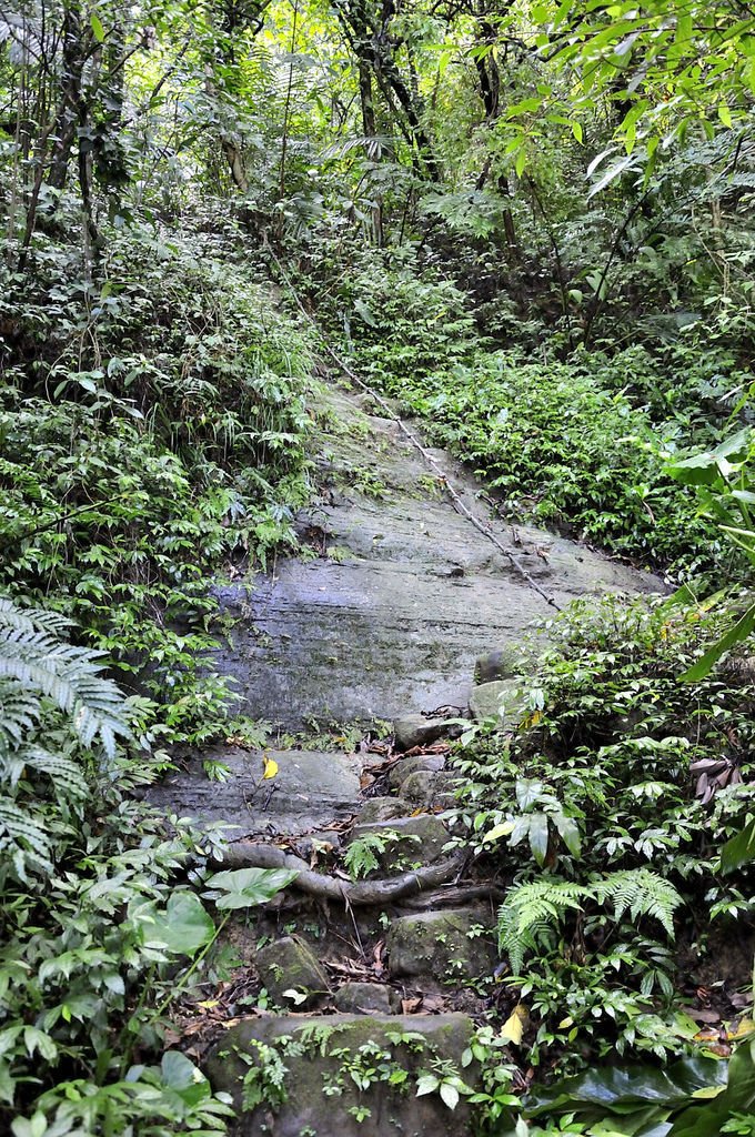 20150724南港山一號索道_37.JPG