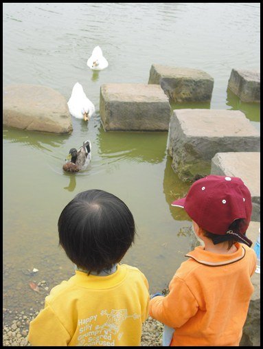 8.JPG