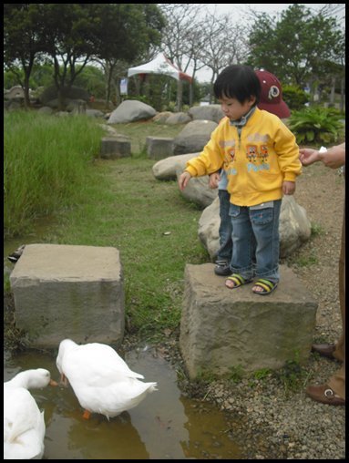 11.JPG
