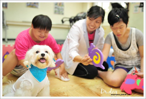 Dr.dog高雄寶弟1.jpg